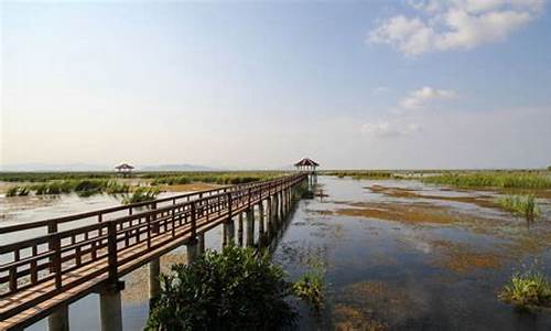 崇明岛一日游最佳路线_崇明岛一日游最佳路线崇明西沙湿地公园